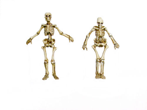 Skelett-Dollies Set