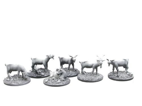 7 goats