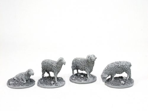 4 Schafe