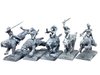 Female barbarians on sabred-toothed tiger (Set of 5)